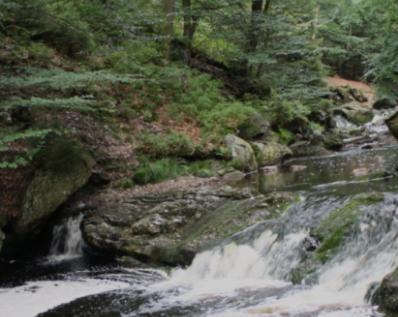 Gite Ardennes Au Coin Du Feu Jacuzzi Sauna Et Nature Jalhay Luaran gambar