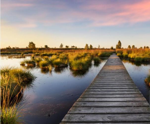 Gite Ardennes Au Coin Du Feu Jacuzzi Sauna Et Nature Jalhay Luaran gambar